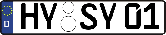 HY-SY01