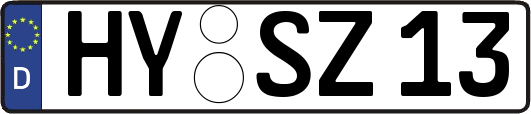 HY-SZ13