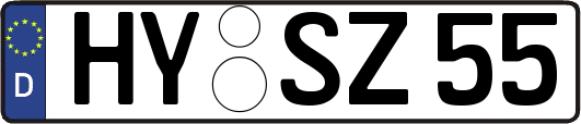 HY-SZ55