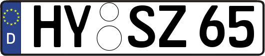 HY-SZ65