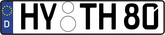HY-TH80