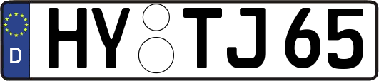 HY-TJ65