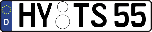 HY-TS55