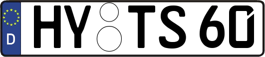HY-TS60