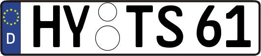 HY-TS61