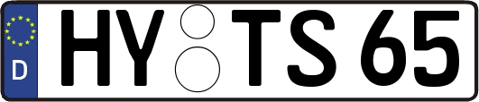 HY-TS65