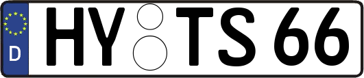 HY-TS66