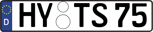 HY-TS75