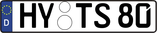 HY-TS80