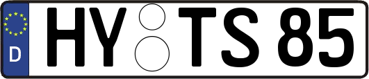 HY-TS85