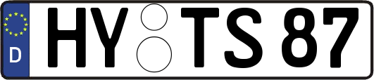 HY-TS87