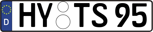 HY-TS95