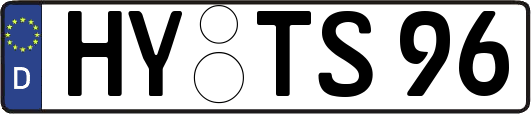 HY-TS96