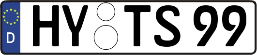 HY-TS99