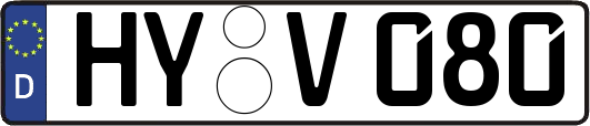 HY-V080