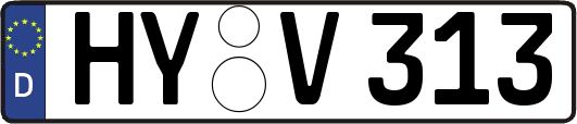 HY-V313