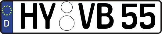 HY-VB55