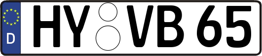 HY-VB65