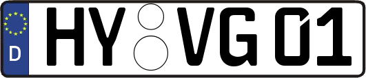 HY-VG01