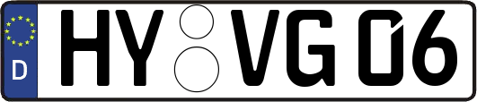 HY-VG06