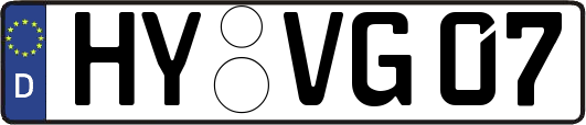 HY-VG07