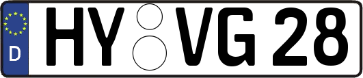 HY-VG28