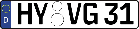 HY-VG31