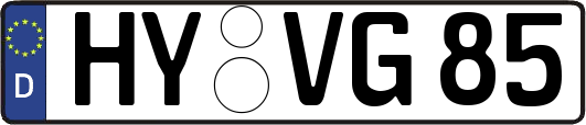 HY-VG85