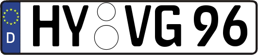HY-VG96