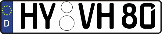 HY-VH80