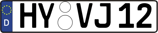HY-VJ12