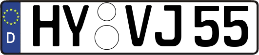 HY-VJ55