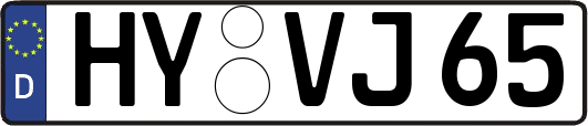 HY-VJ65