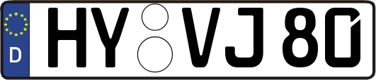 HY-VJ80