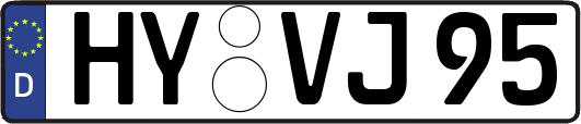 HY-VJ95