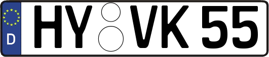 HY-VK55