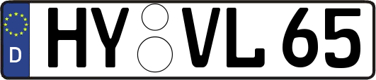 HY-VL65