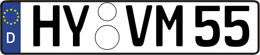 HY-VM55