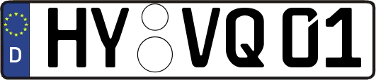 HY-VQ01