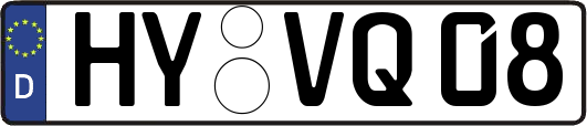 HY-VQ08