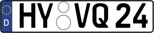 HY-VQ24