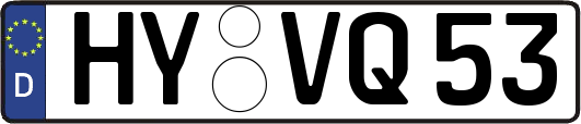 HY-VQ53