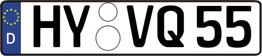 HY-VQ55