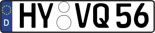 HY-VQ56