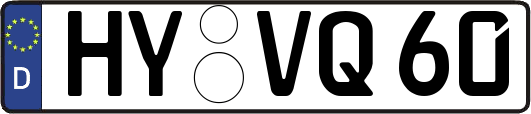 HY-VQ60
