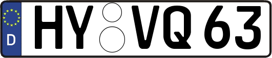 HY-VQ63