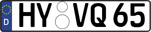 HY-VQ65