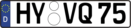 HY-VQ75