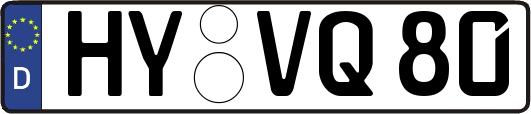 HY-VQ80