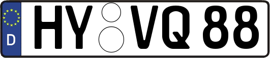 HY-VQ88